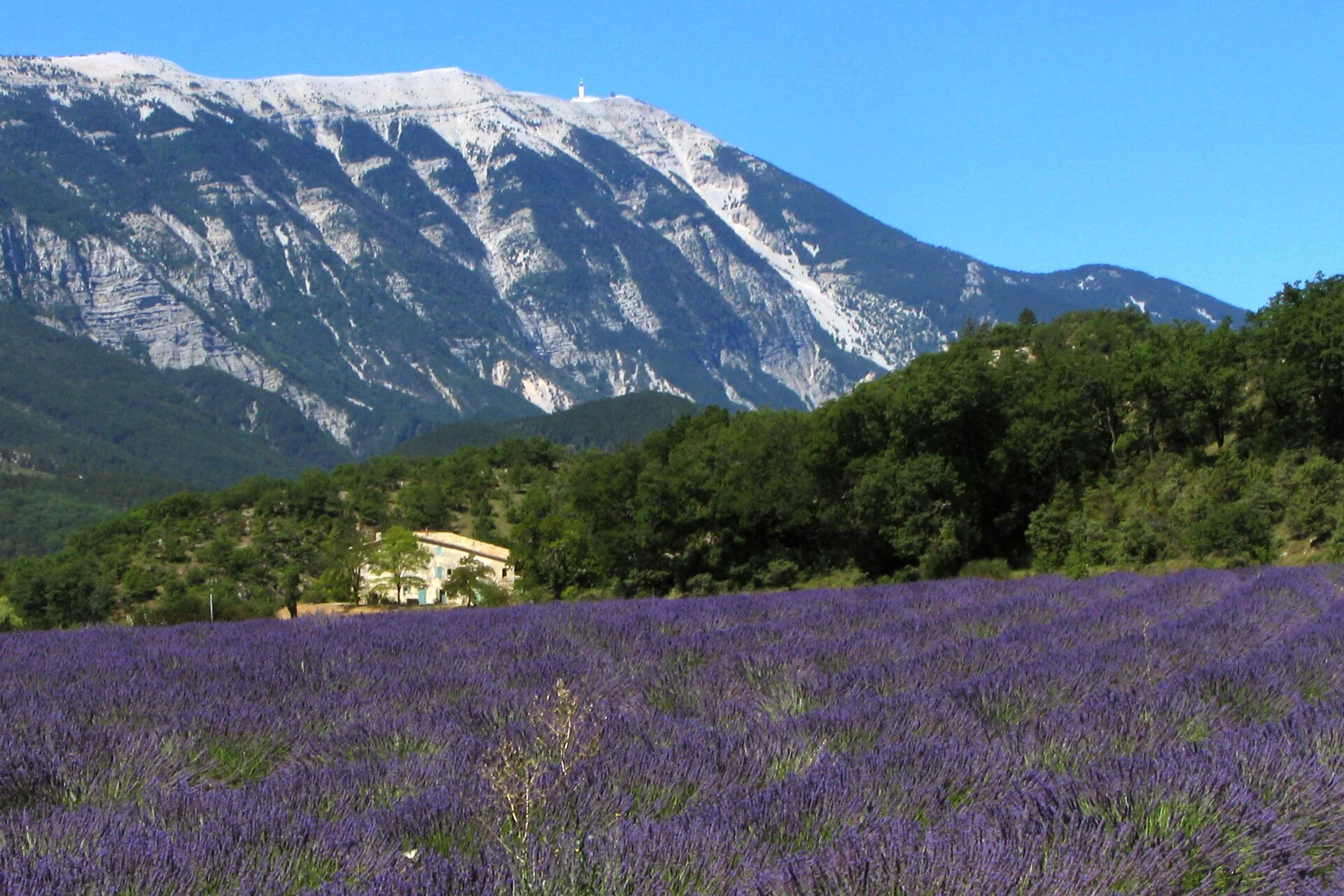 Aperçu de la destination Provence pour un mariage de luxe avec Mira Decor Studio.